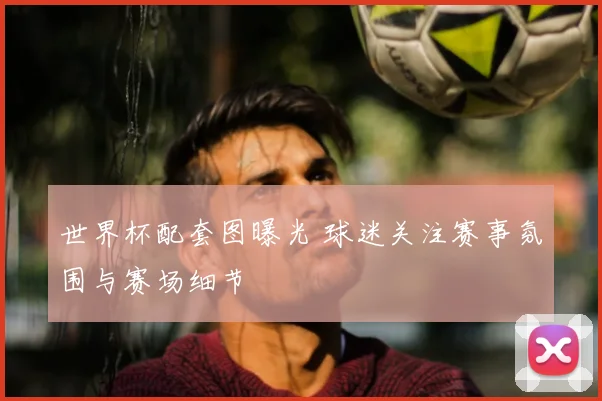 世界杯配套图曝光 球迷关注赛事氛围与赛场细节